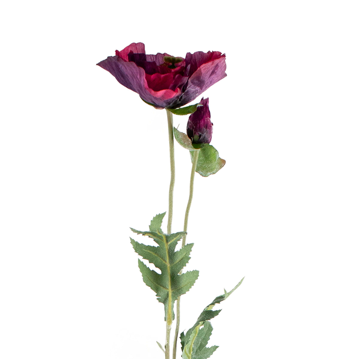 Flower poppy burgundy 72cm