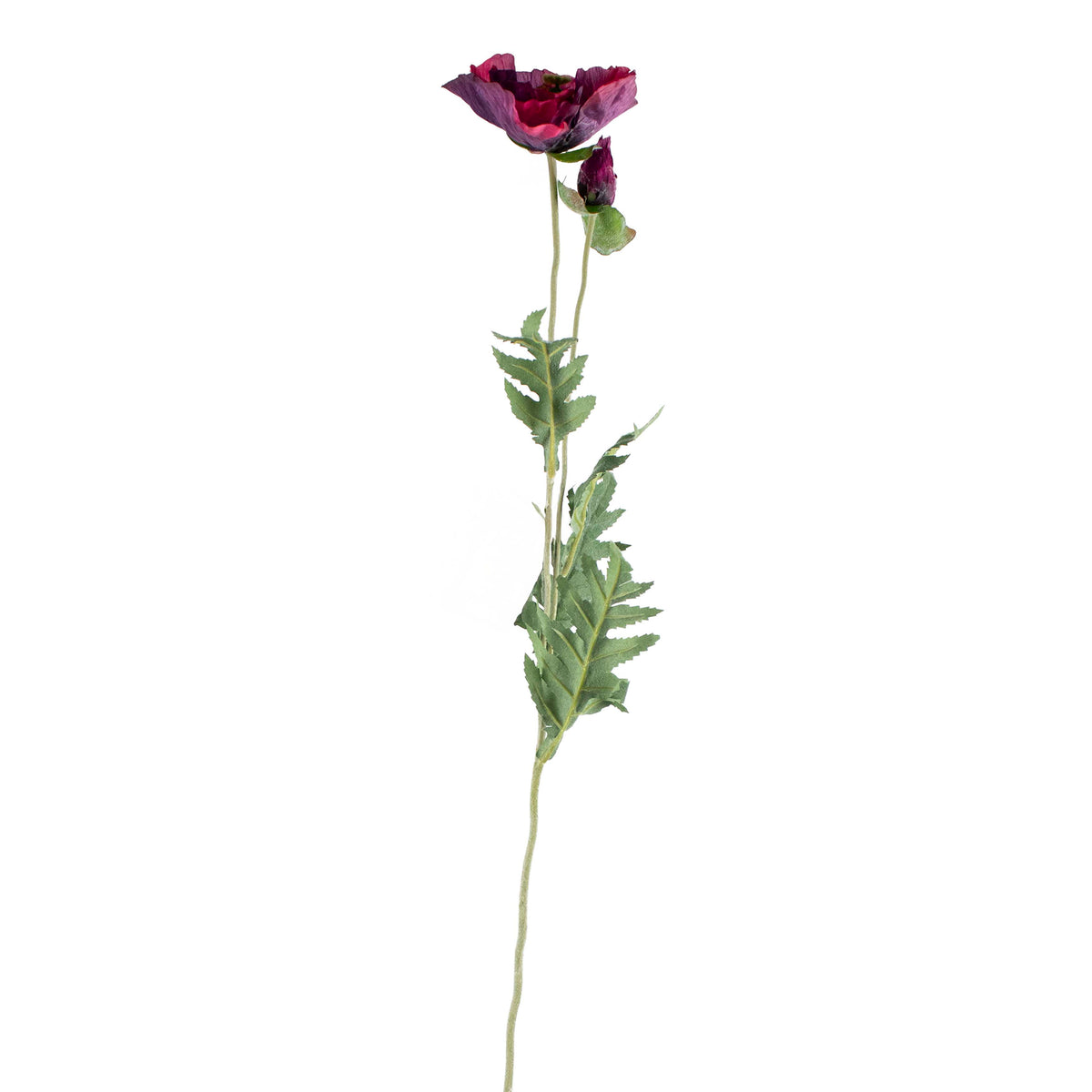 Flower poppy burgundy 72cm