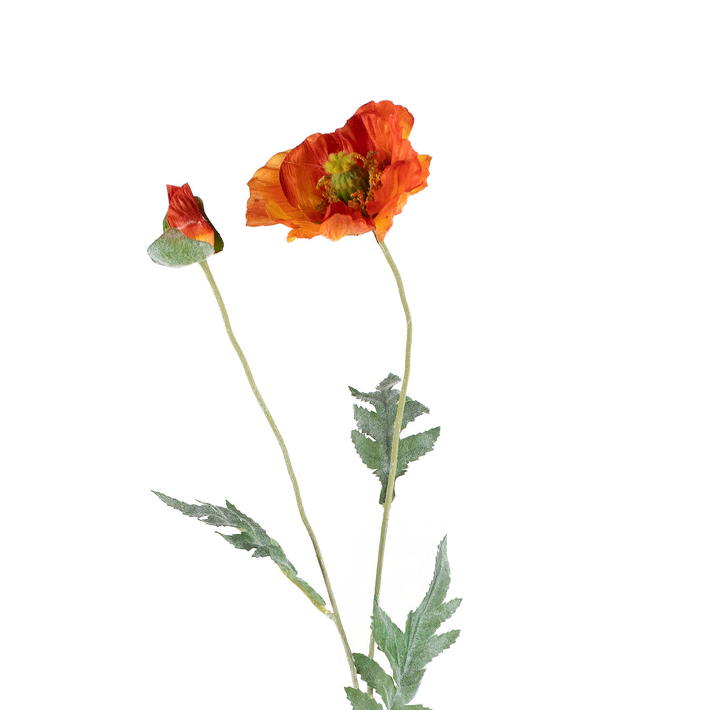 Flower POPPY orange 72cm