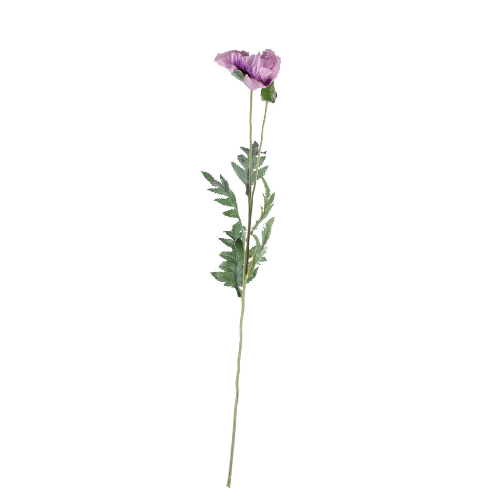 Flower poppy light purple 72cm