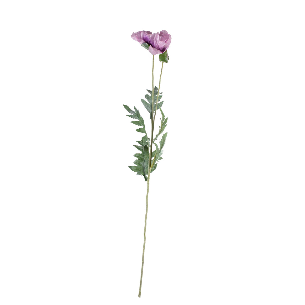 Flower poppy light purple 72cm