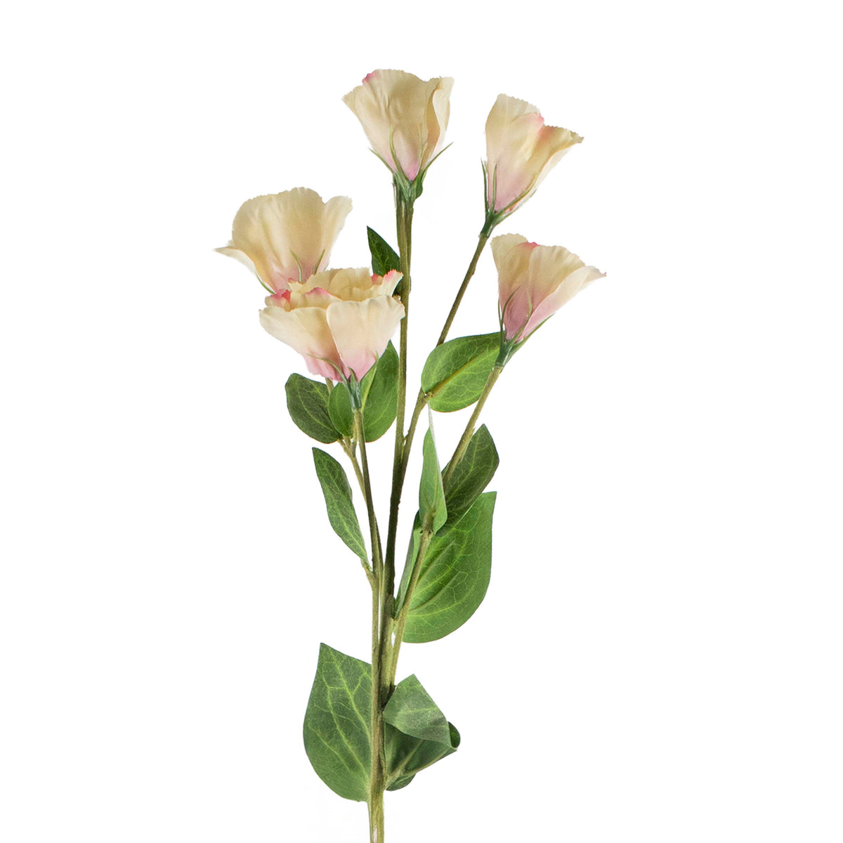 Flower platycodon soft pink 76cm