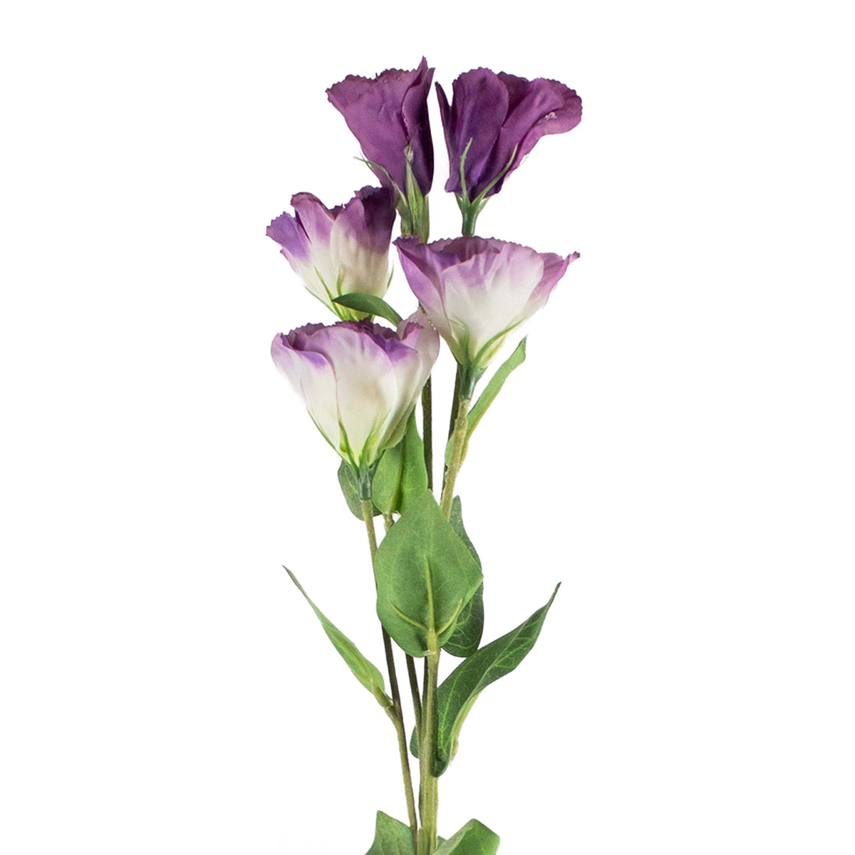 Flower platycodon purple 76cm