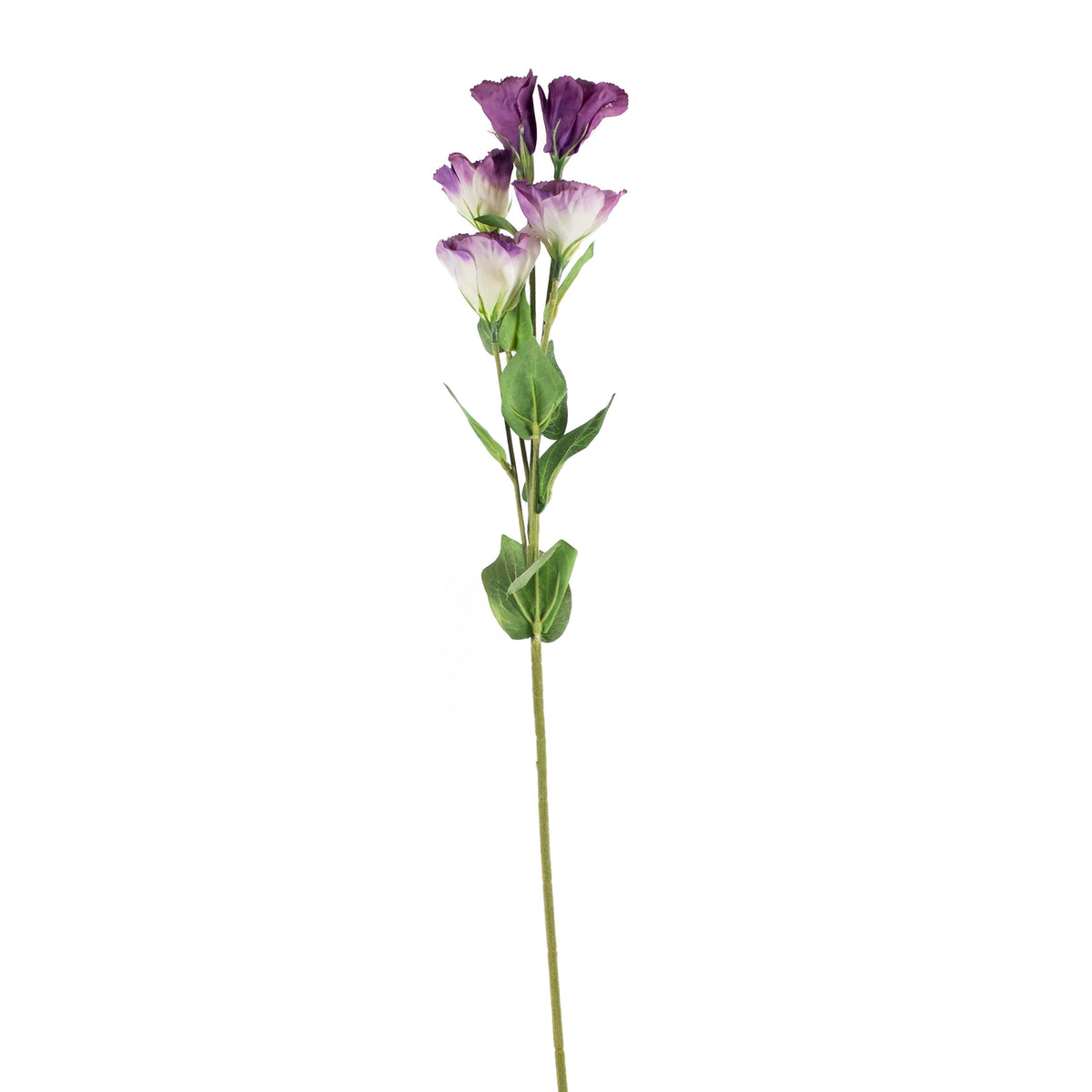 Flower platycodon purple 76cm