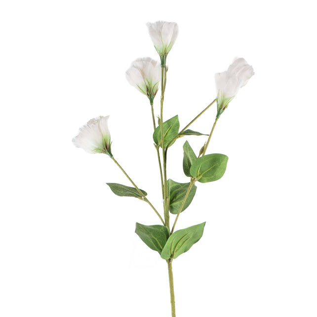 Flower PLATYCODON white 76cm