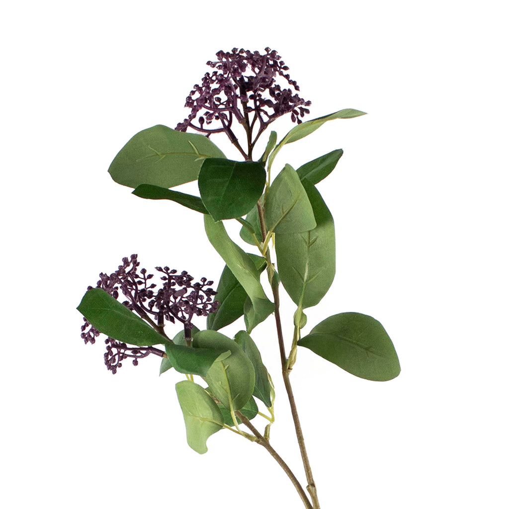 Flower ligustrum dark purple 70cm