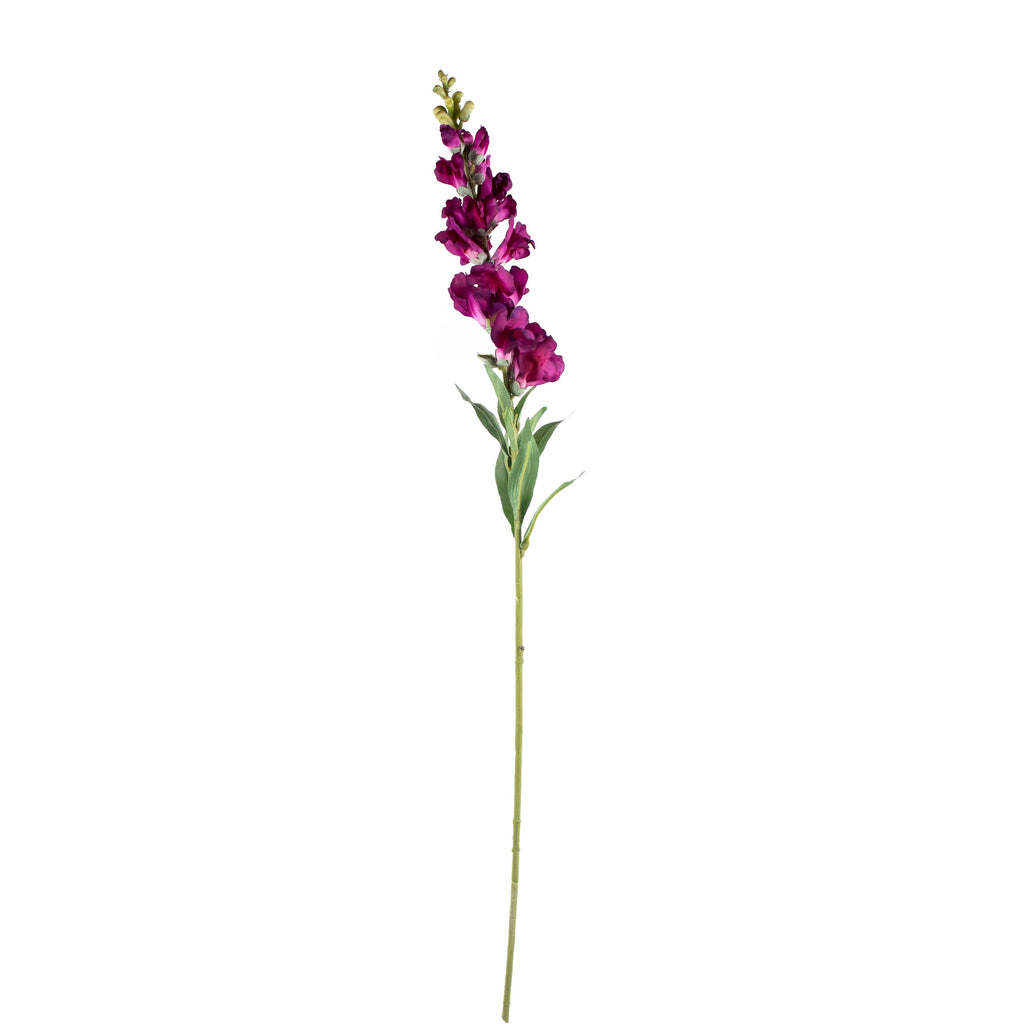 Flower HORNWORT dark purple 92cm