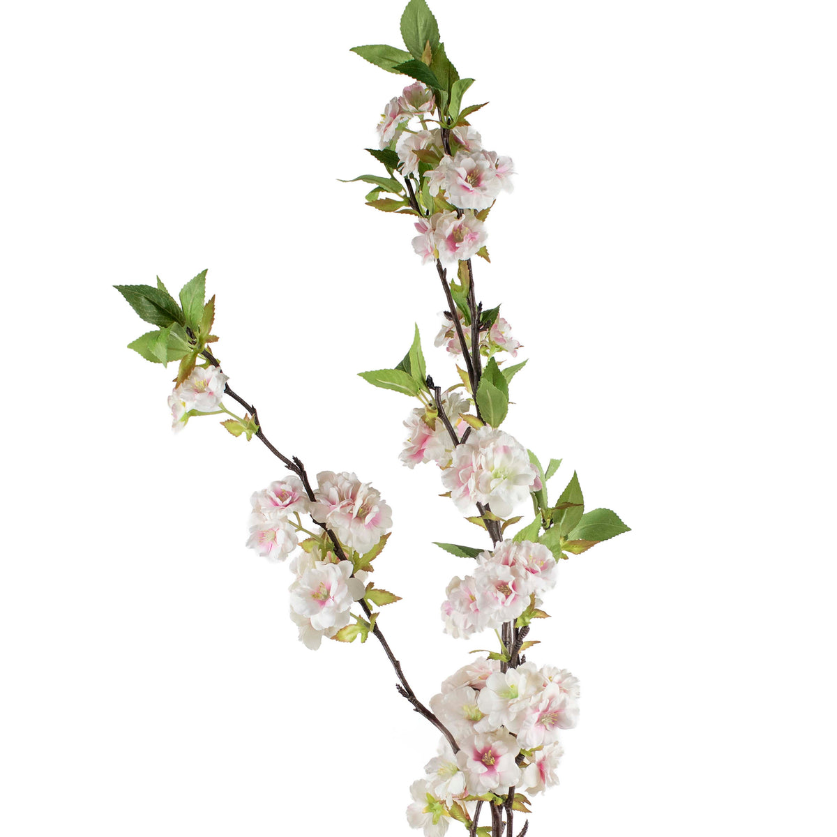 Cherry BLOSSOM light pink 132cm
