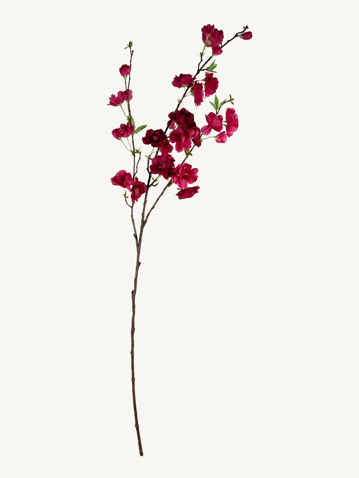 Bloem BLOESEM SAKURA 115cm fuchsia