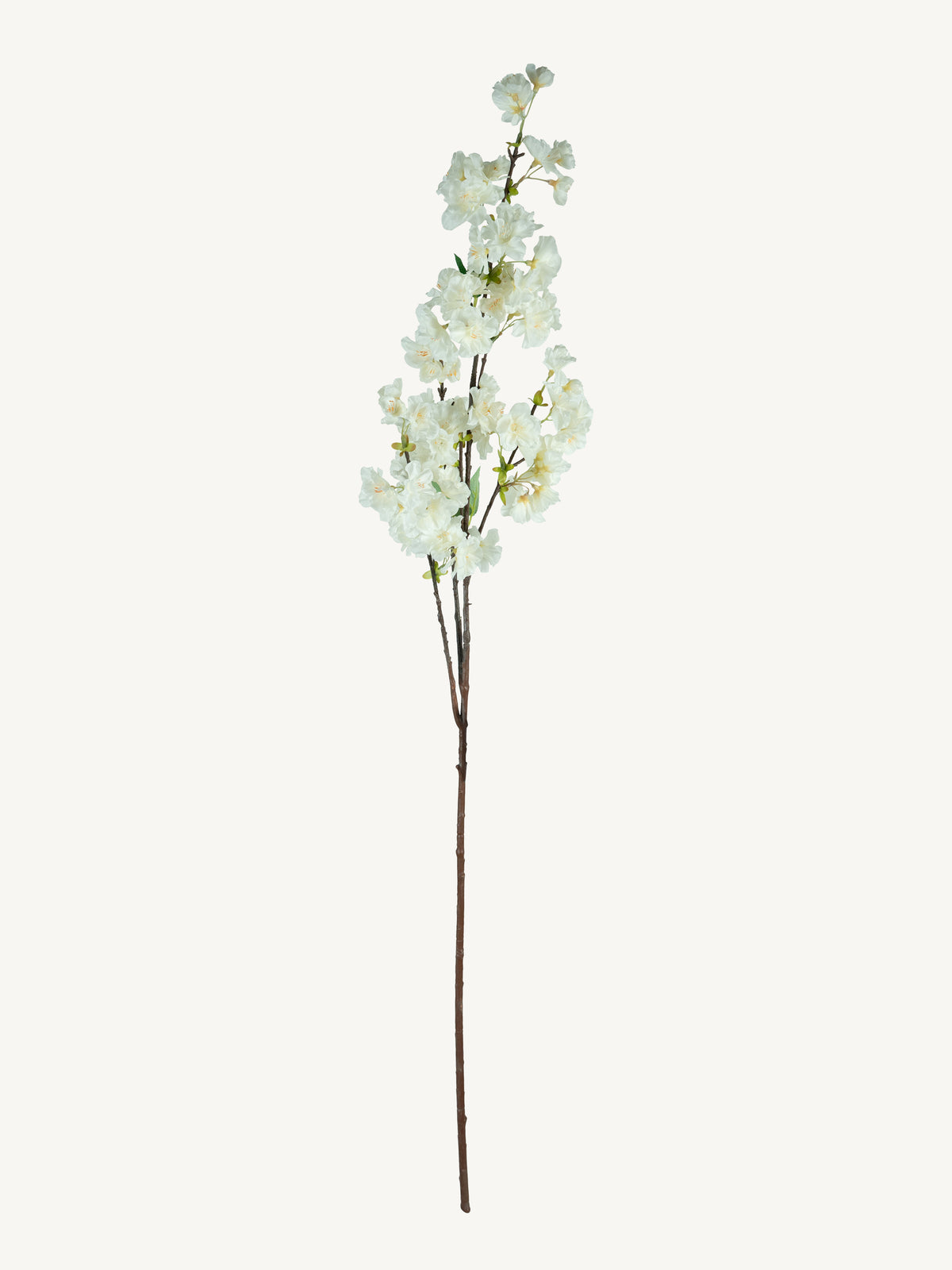 Flower BLOSSOM SAKURA 100cm white