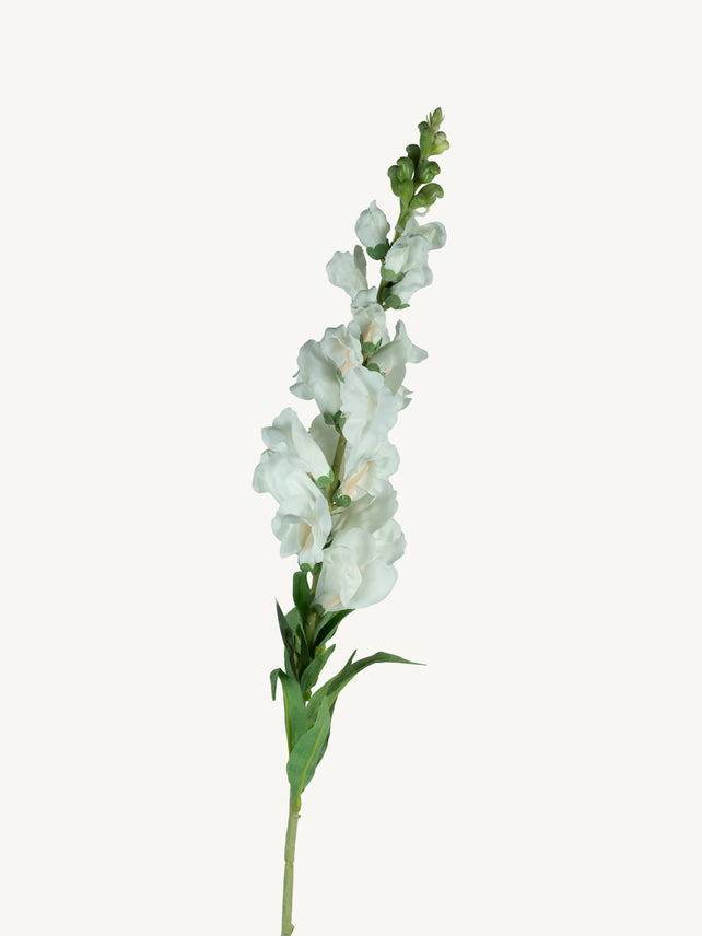 Blumen HORNWORT 92cm weiß