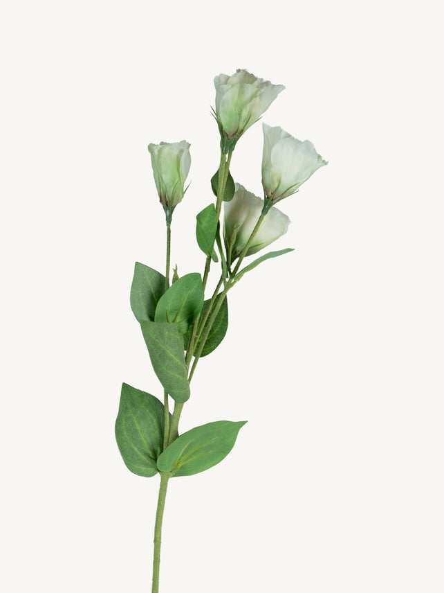 Flower PLATYCODON 76cm white