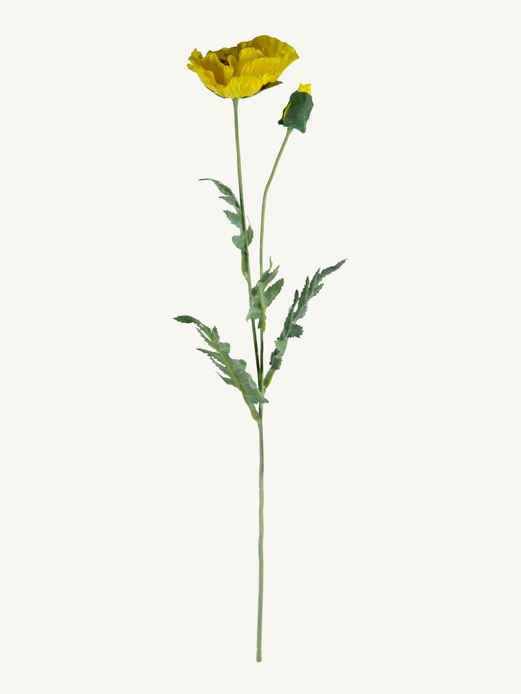 Bloem KLAPROOS 72cm geel