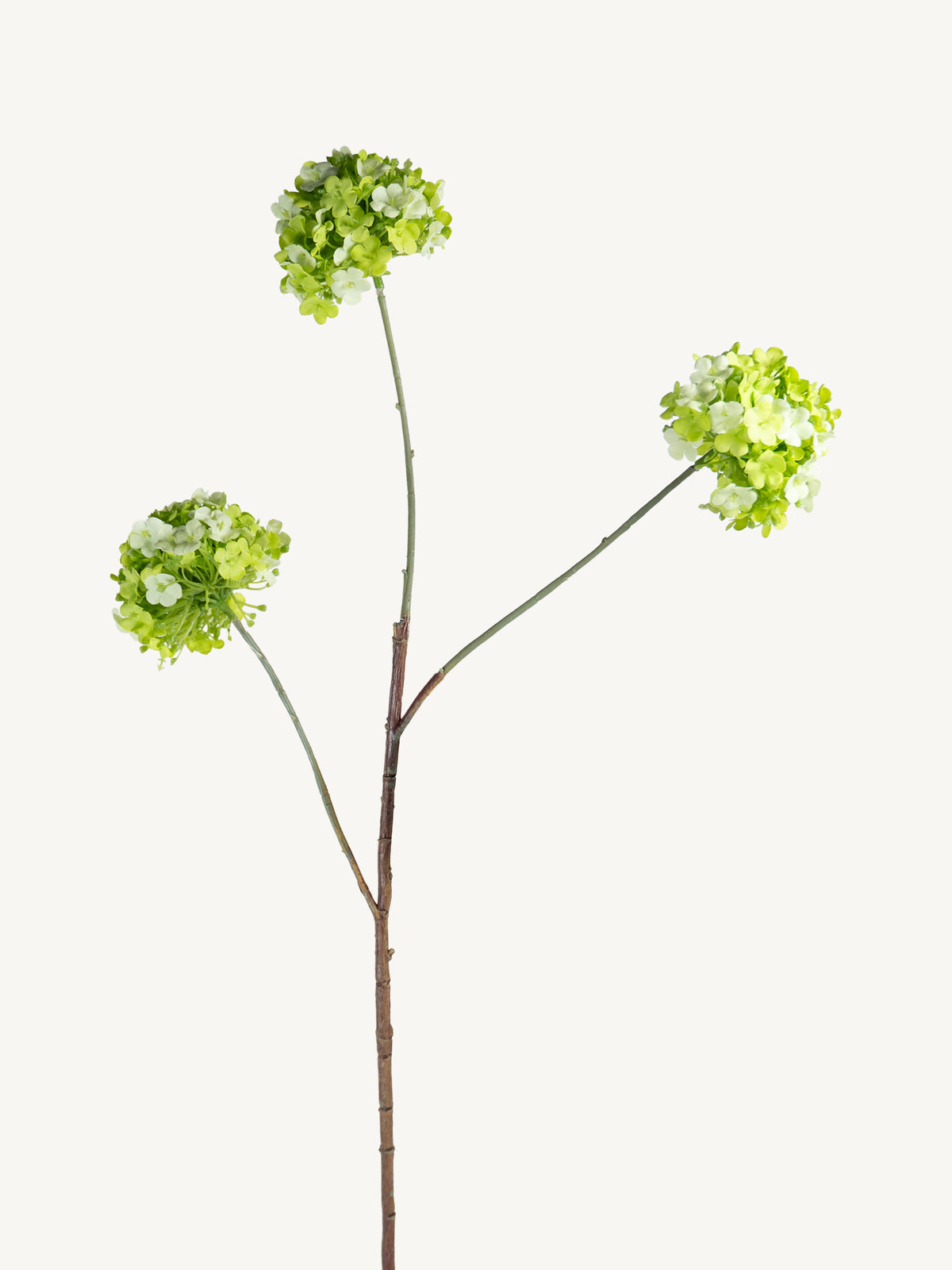 Flower SNOWBALL 90cm green