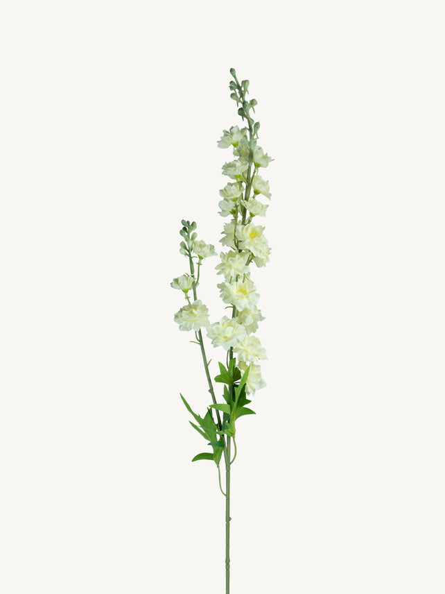 Bloem DELFINIDINE 85cm wit