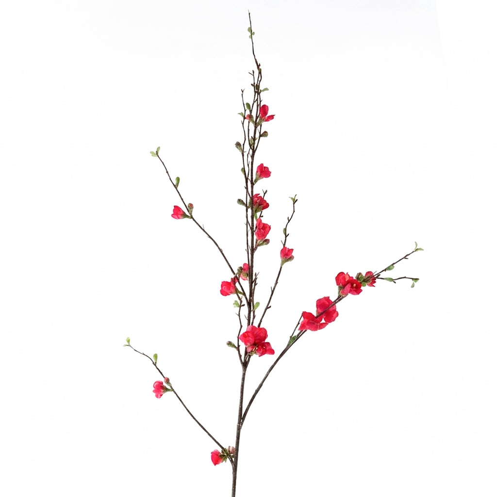 Bloem PERZIKBLOESEM 128cm fuchsia