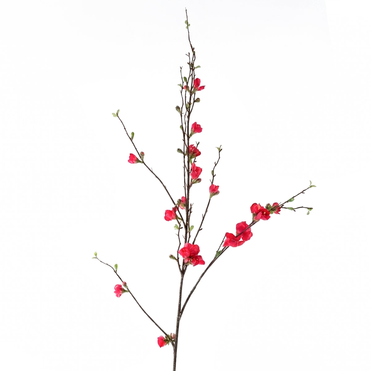 Flower PEACH BLOSSOM 128cm fuchsia