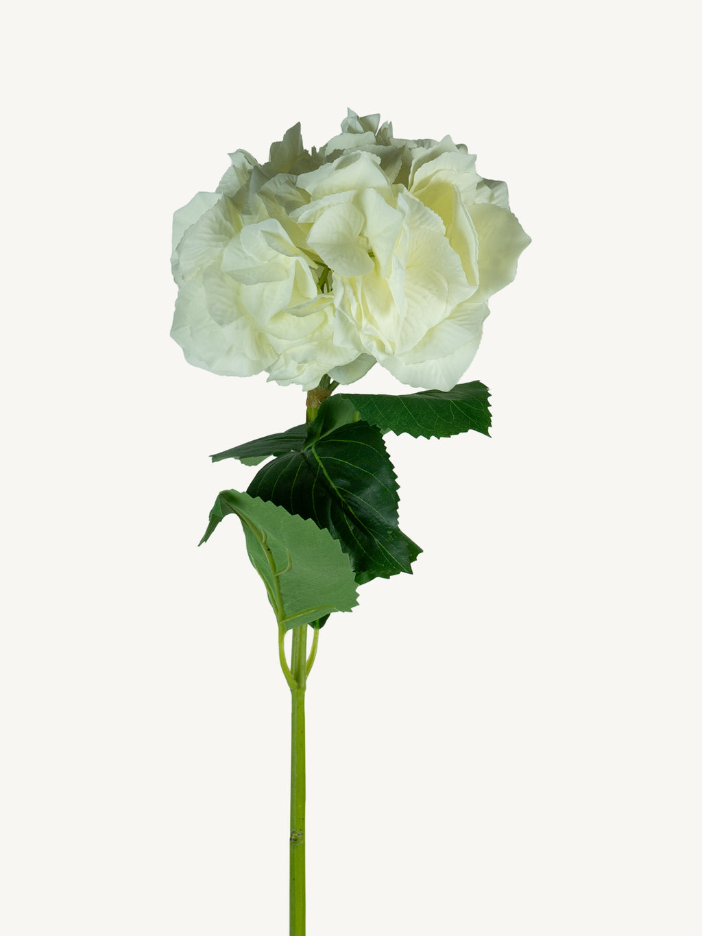 Blume HYDRANGEA 80cm weiß