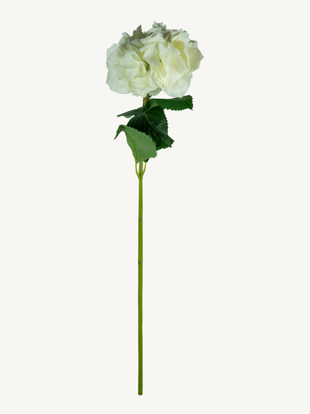 Blume HYDRANGEA 80cm weiß