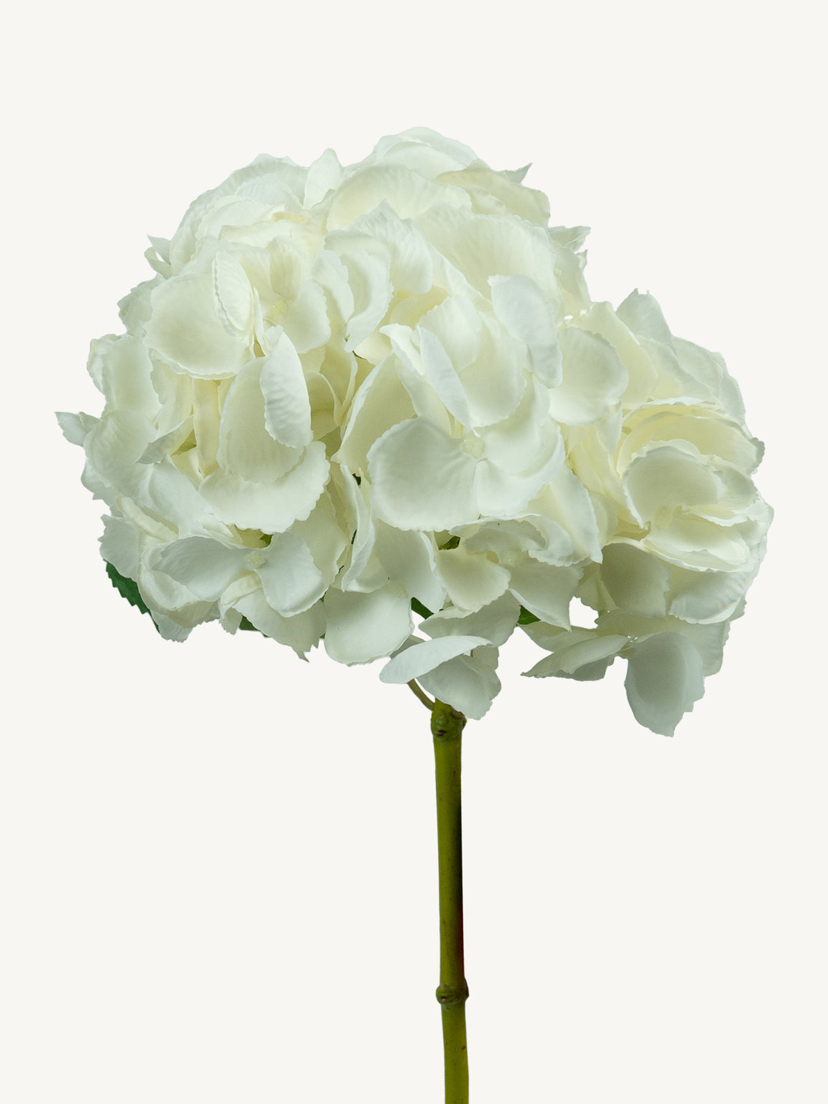 Flower HYDRANGEA 52cm white
