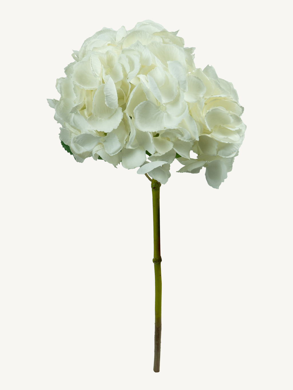 Blume HORTENSIE 52cm weiß