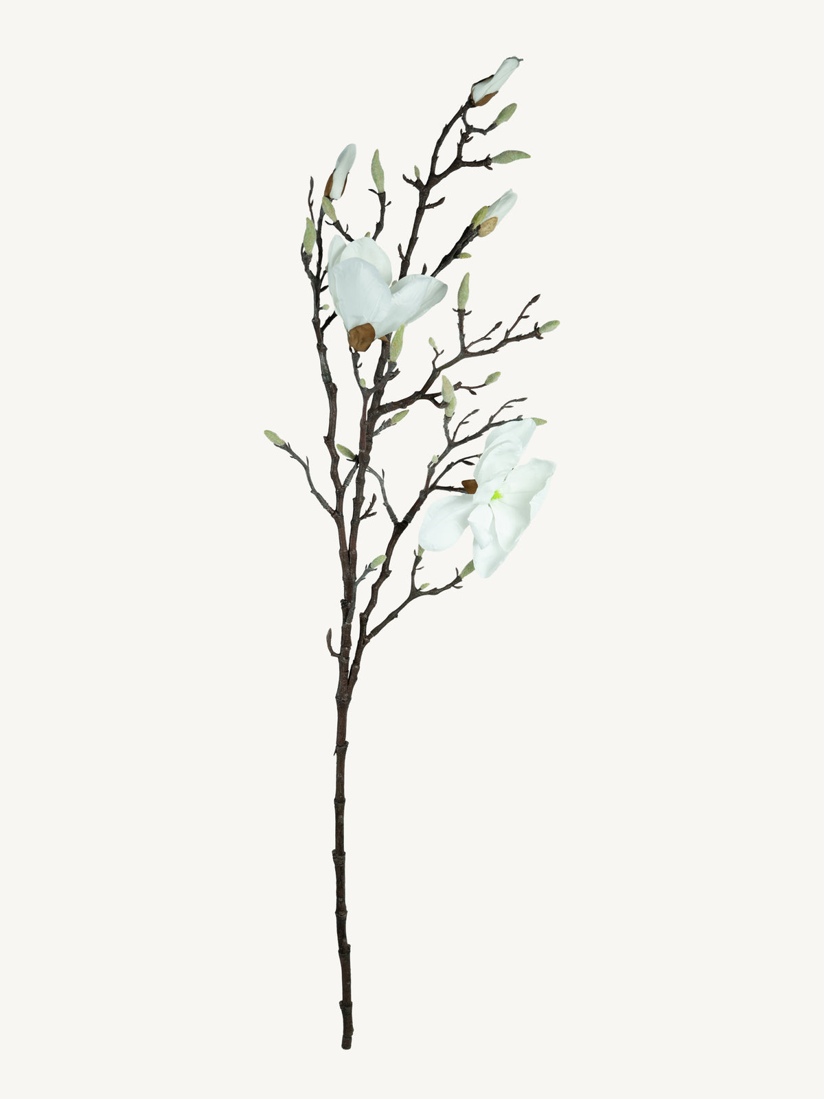 Blütenzweig MAGNOLIA 104cm weiß