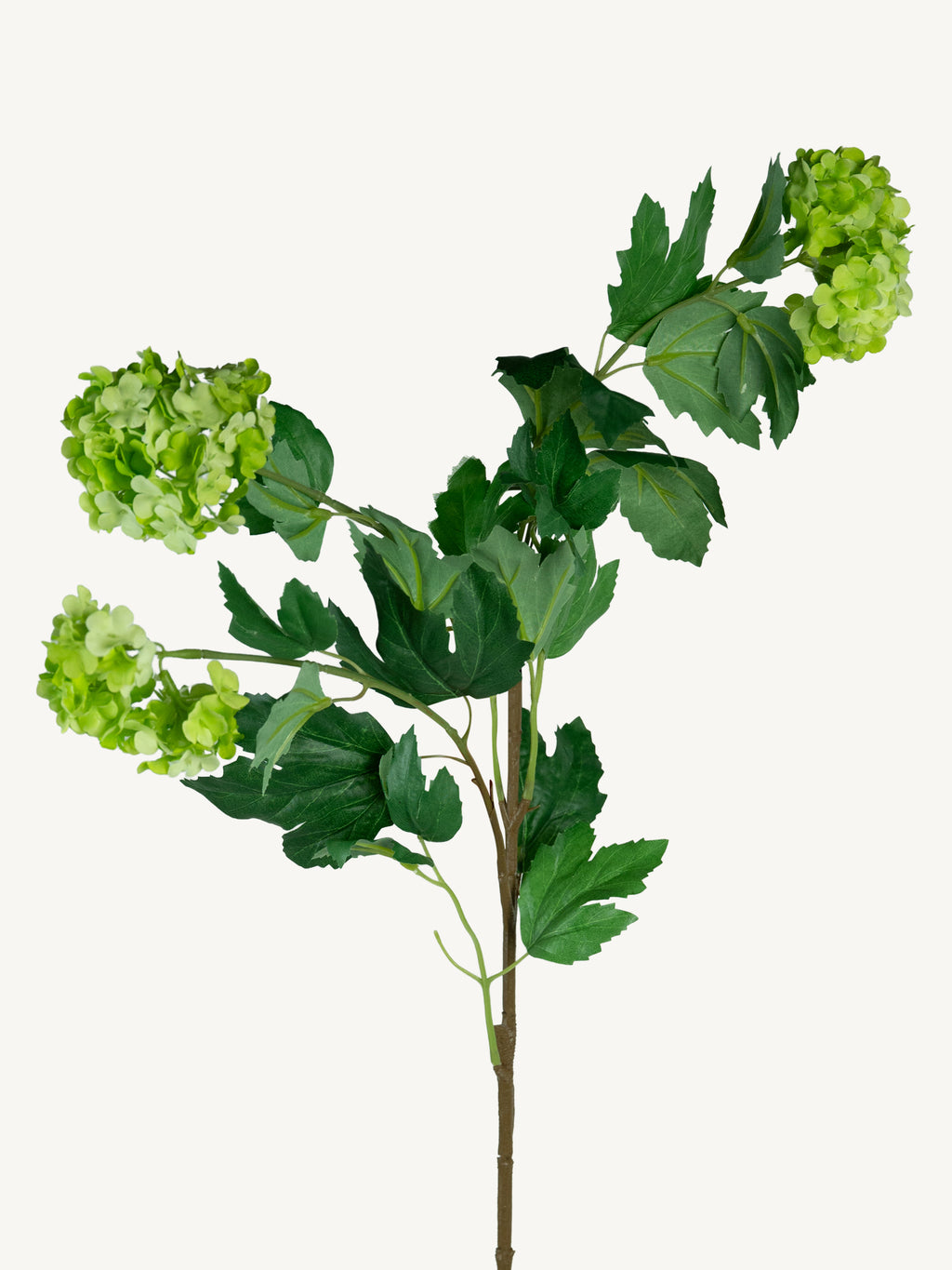 Bloem SNEEUWBAL 78cm groen