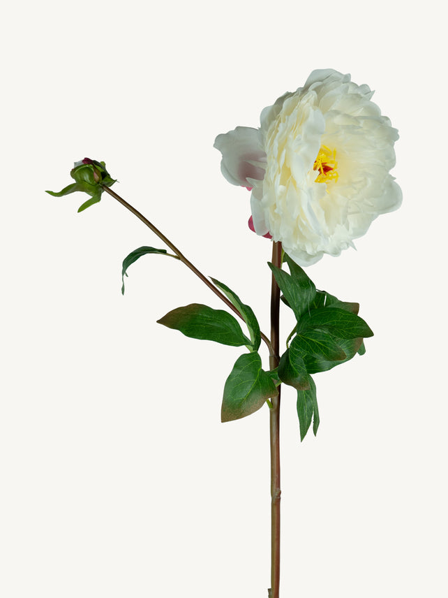 Blume PFINGSTROSE 85cm weiß