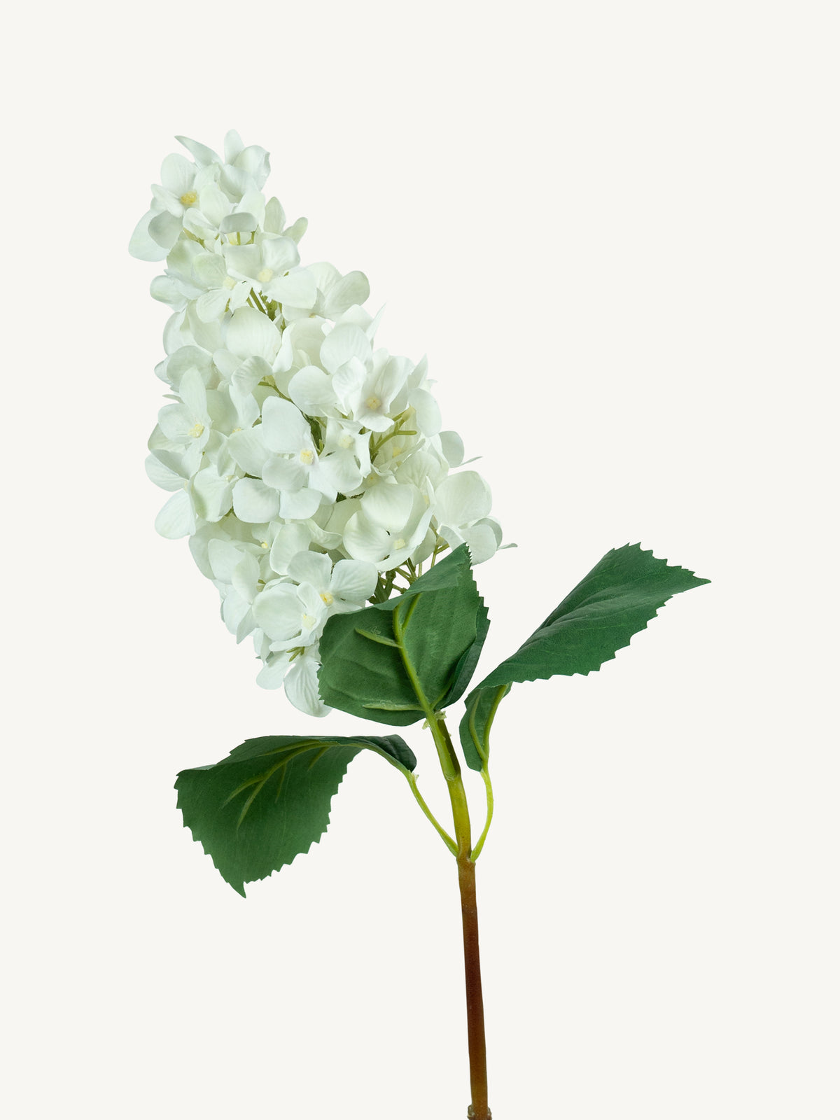 Bloem HORTENSIA 74cm wit