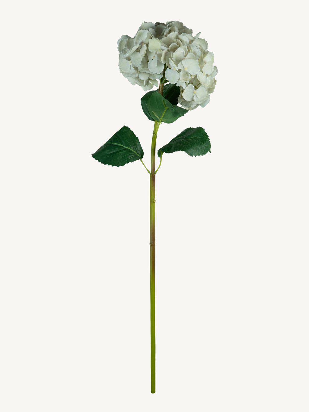 Bloem HORTENSIA 80cm wit