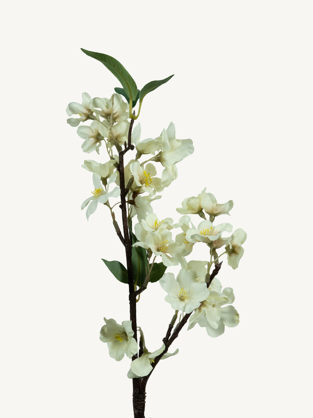 Bloem PEER 49cm wit