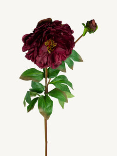 Bloem Pioenroos 85cm donkerrood