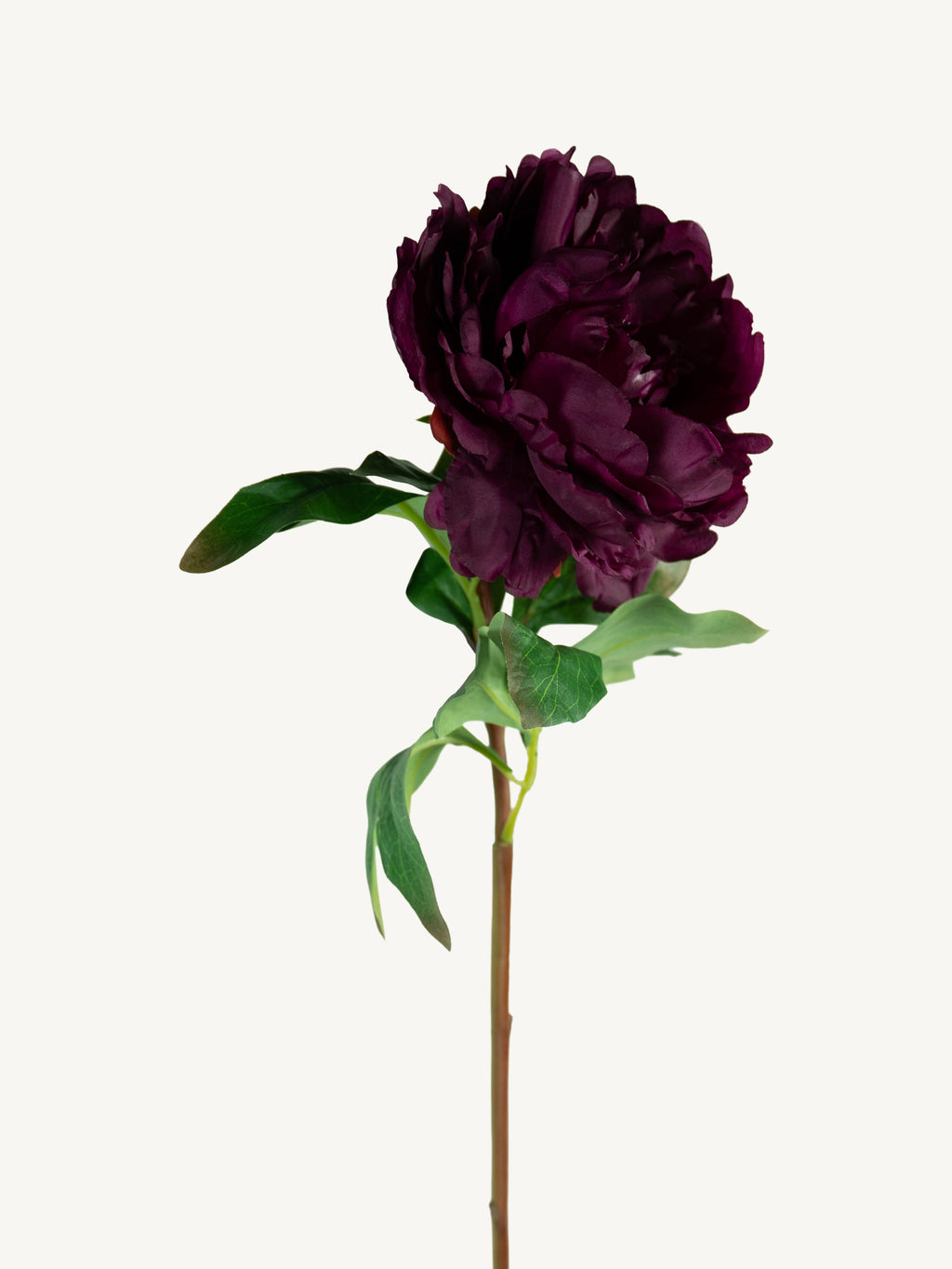 Flower PEONY 85cm deep red