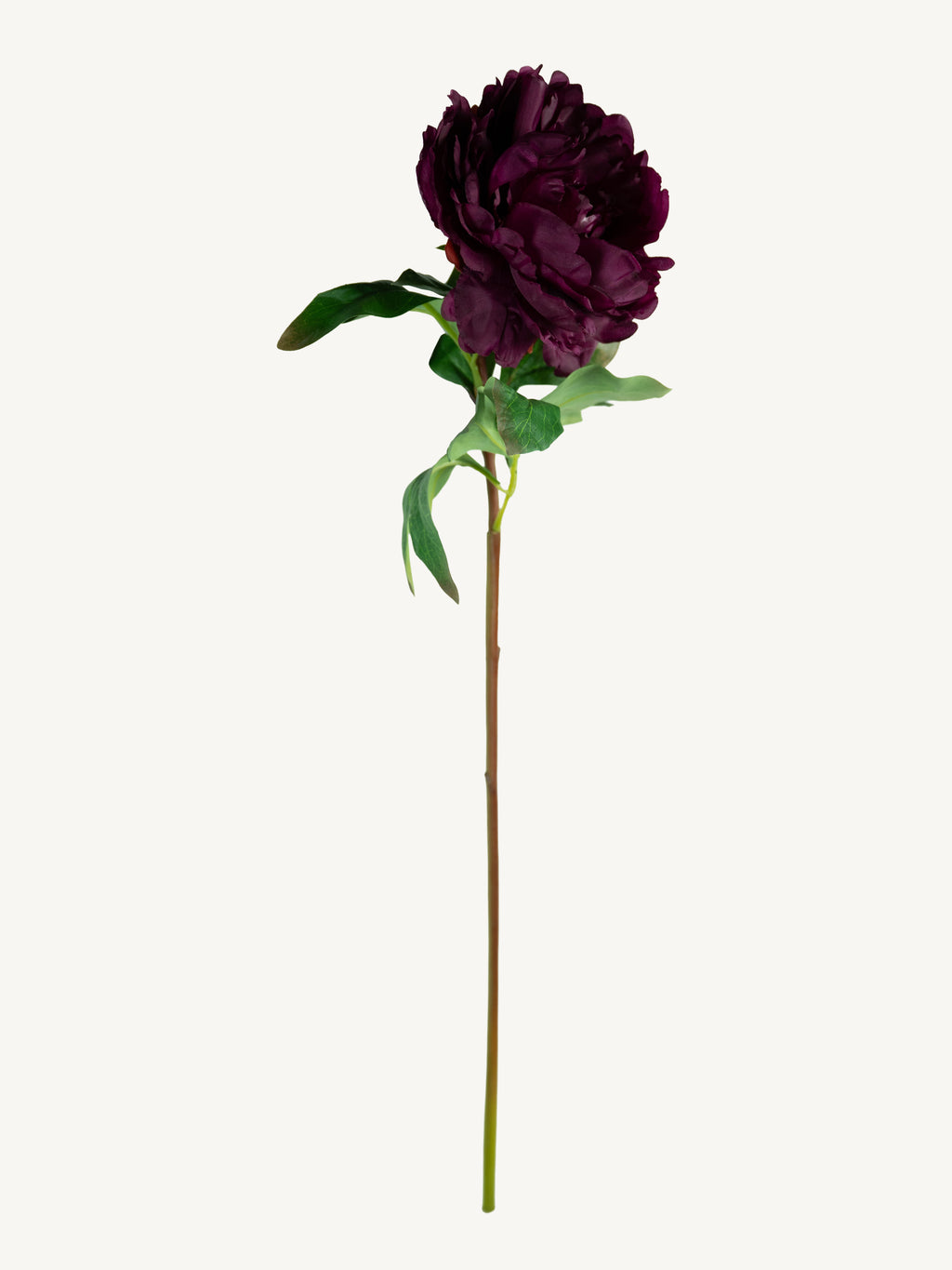 Flower PEONY 85cm deep red