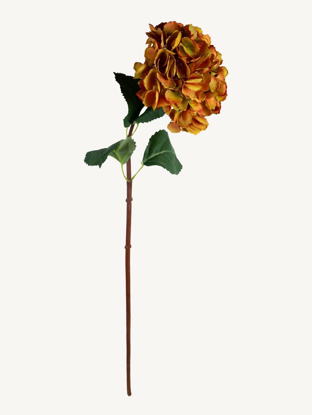 Blume HORTENSIE 83cm hellorange