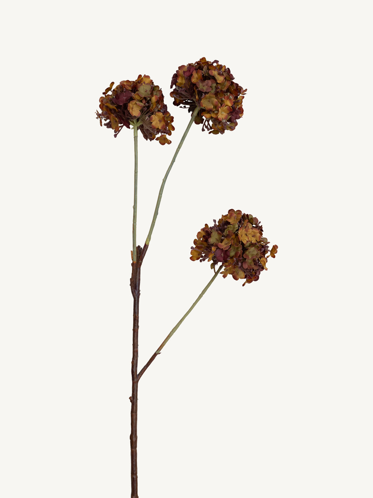 Flower SNOWBALL 90cm brown