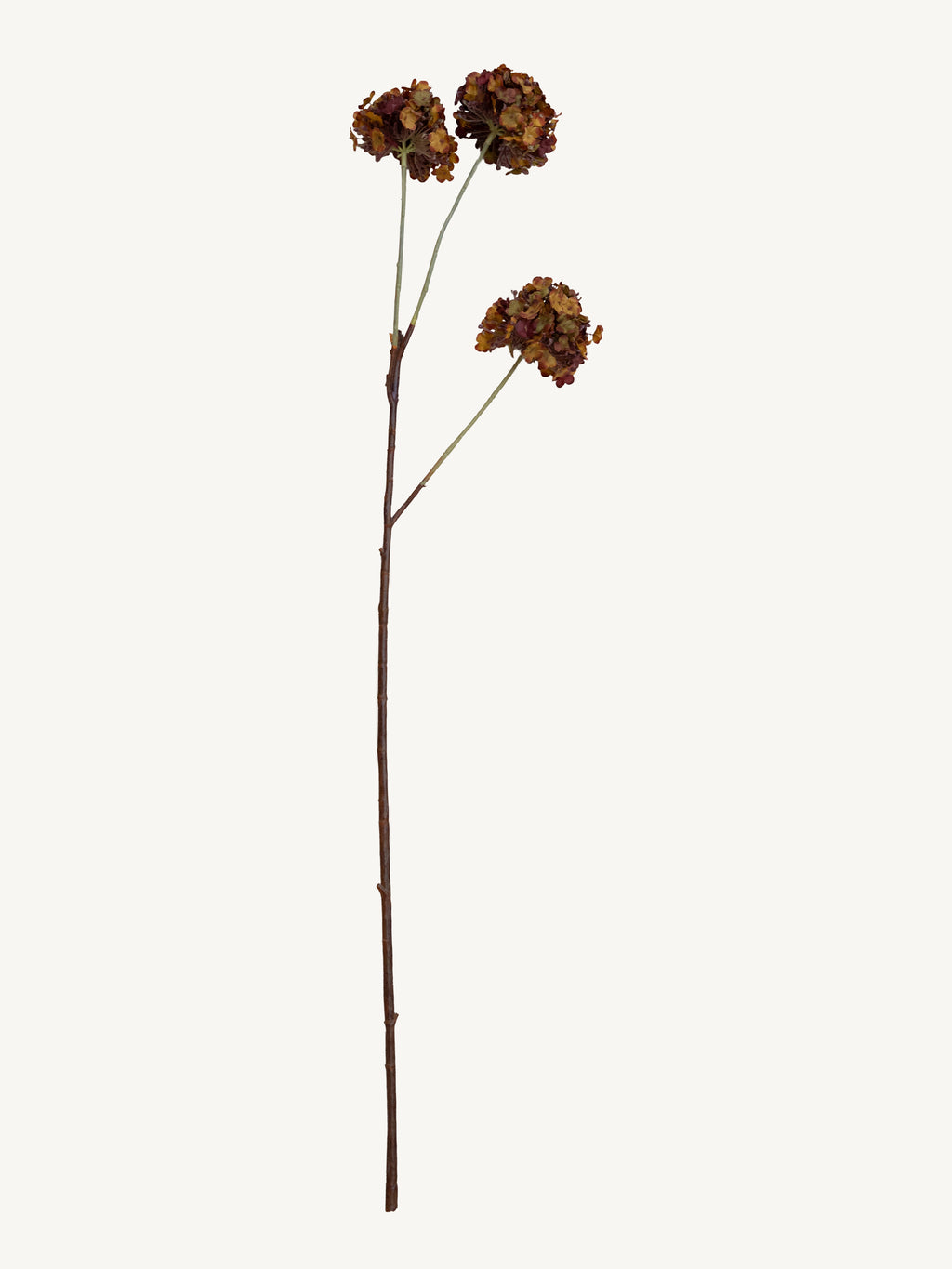 Flower SNOWBALL 90cm brown