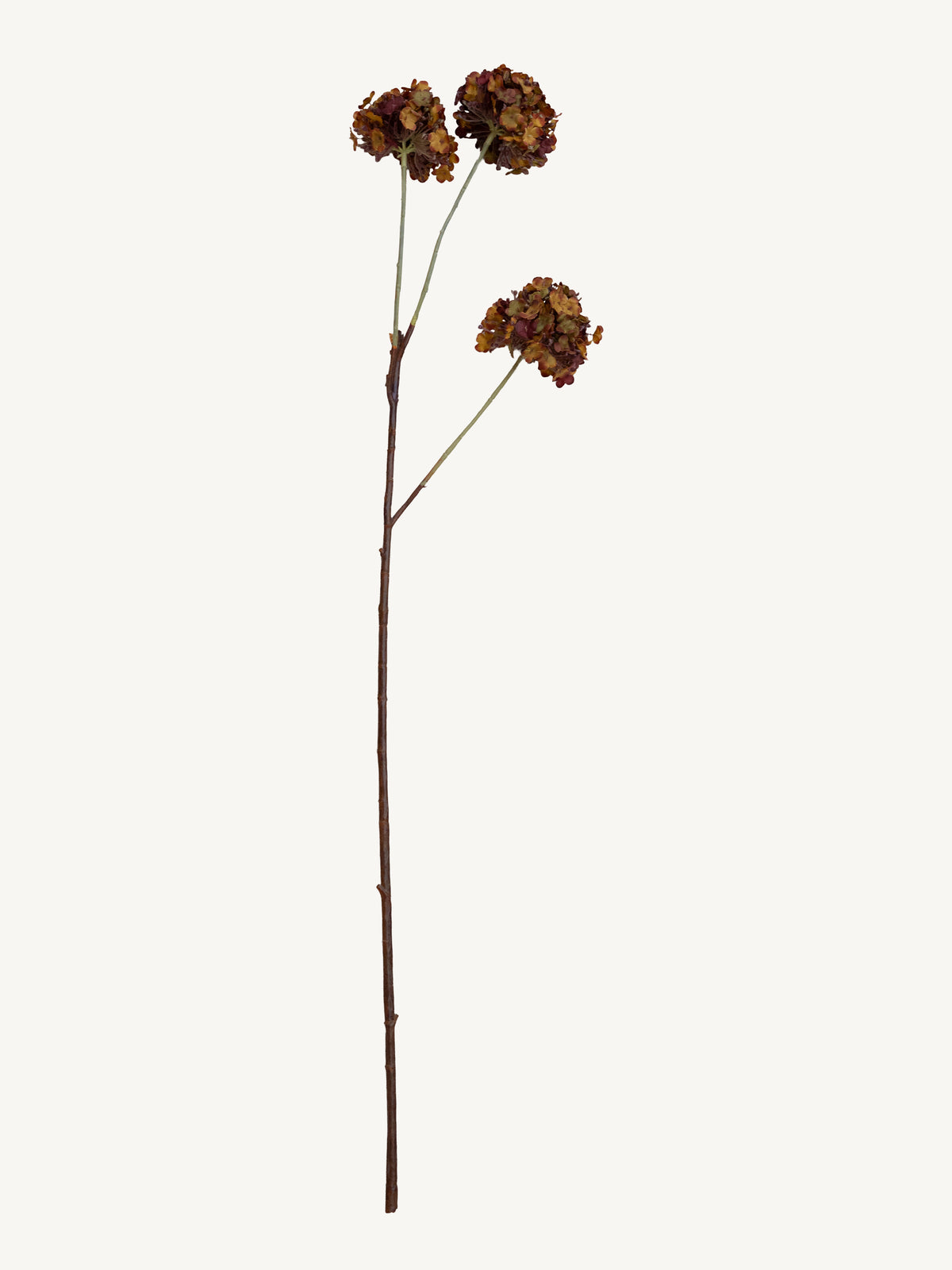 Flower SNOWBALL 90cm brown