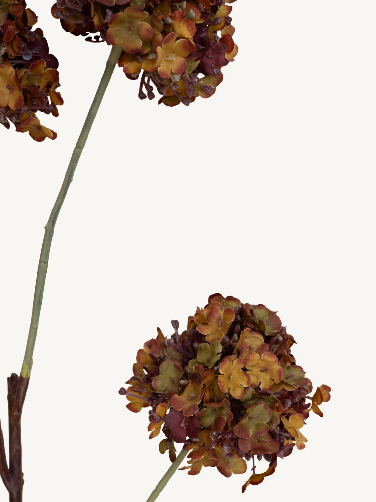 Flower SNOWBALL 90cm brown