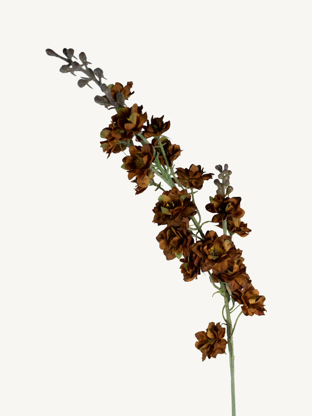 Flower DELPHINIUM 85cm brown