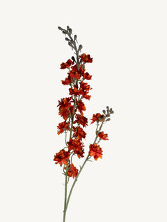 Flower DELPHINIUM 85cm dark orange