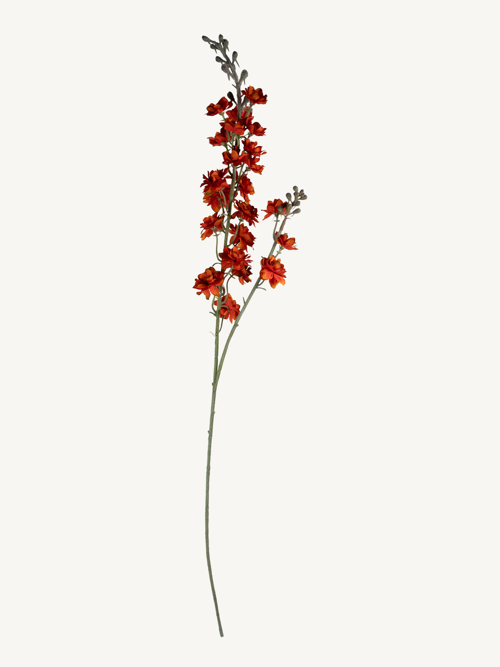 Flower DELPHINIUM 85cm dark orange