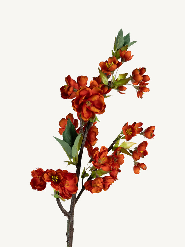 Blume KIRSCHBLÜTE 49cm orange
