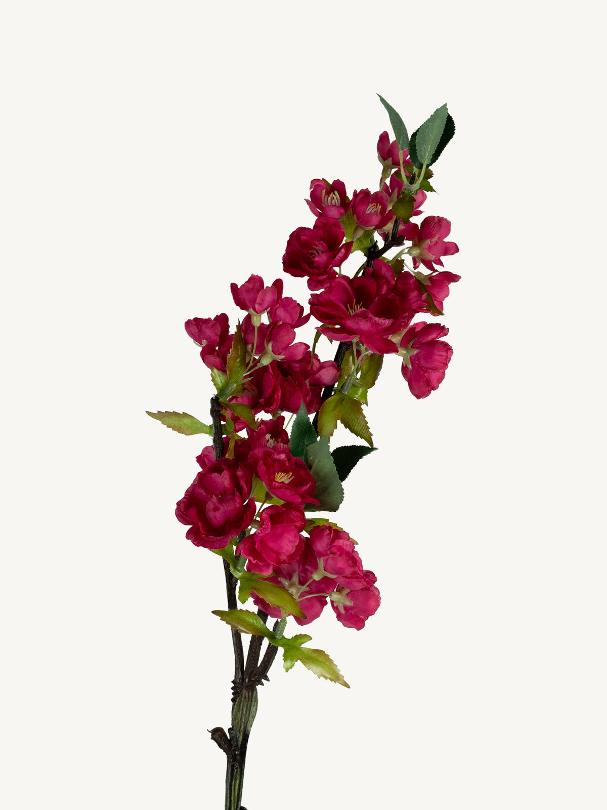 Bloem KERSENBLOESEM 49cm fuchsia