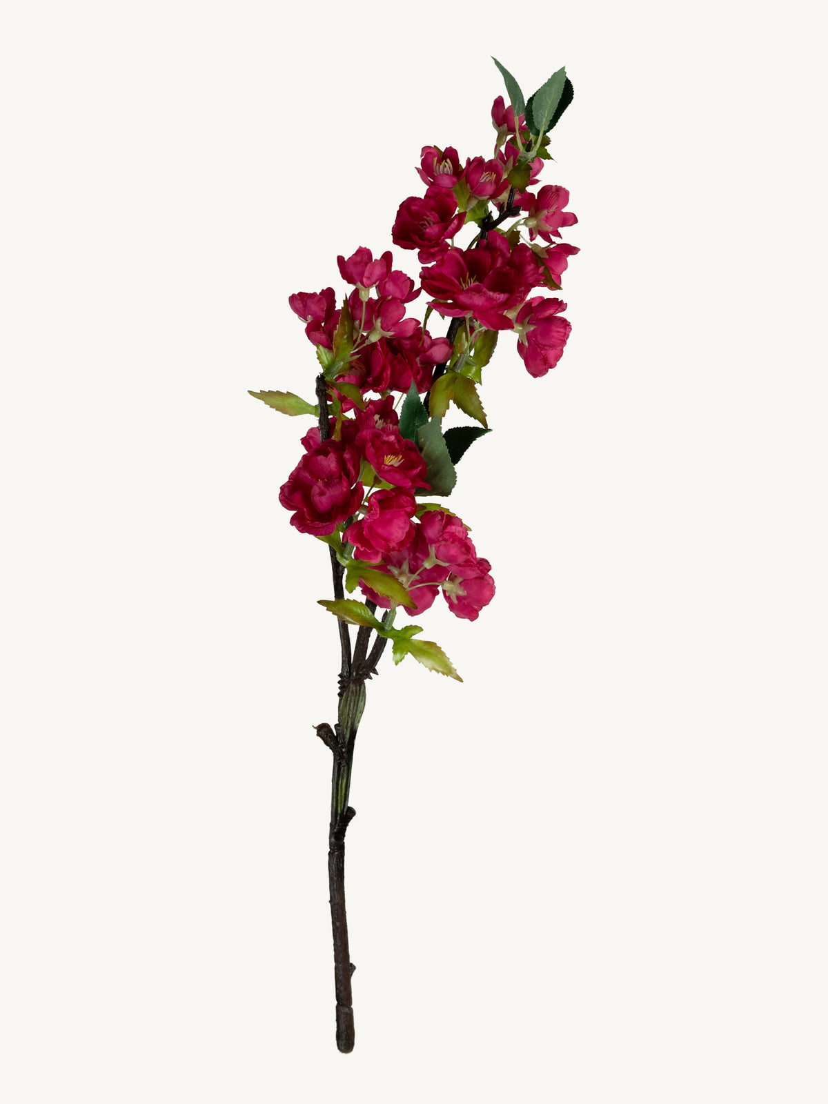 Bloem KERSENBLOESEM 49cm fuchsia