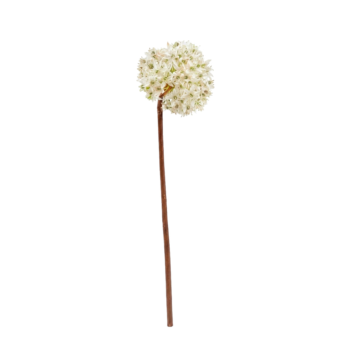 Blume VIBURNUM 60cm weiß