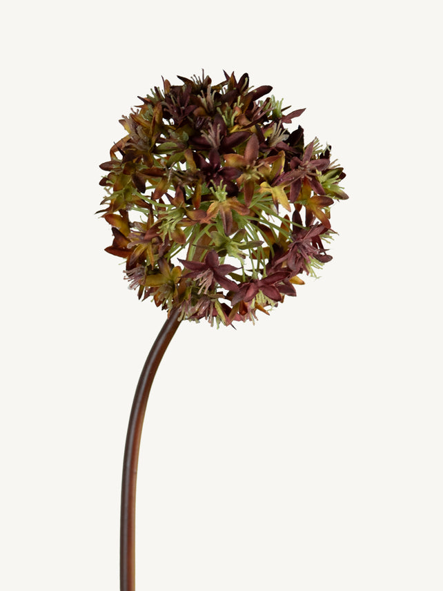 Flower VIBURNUMN 60cm brown
