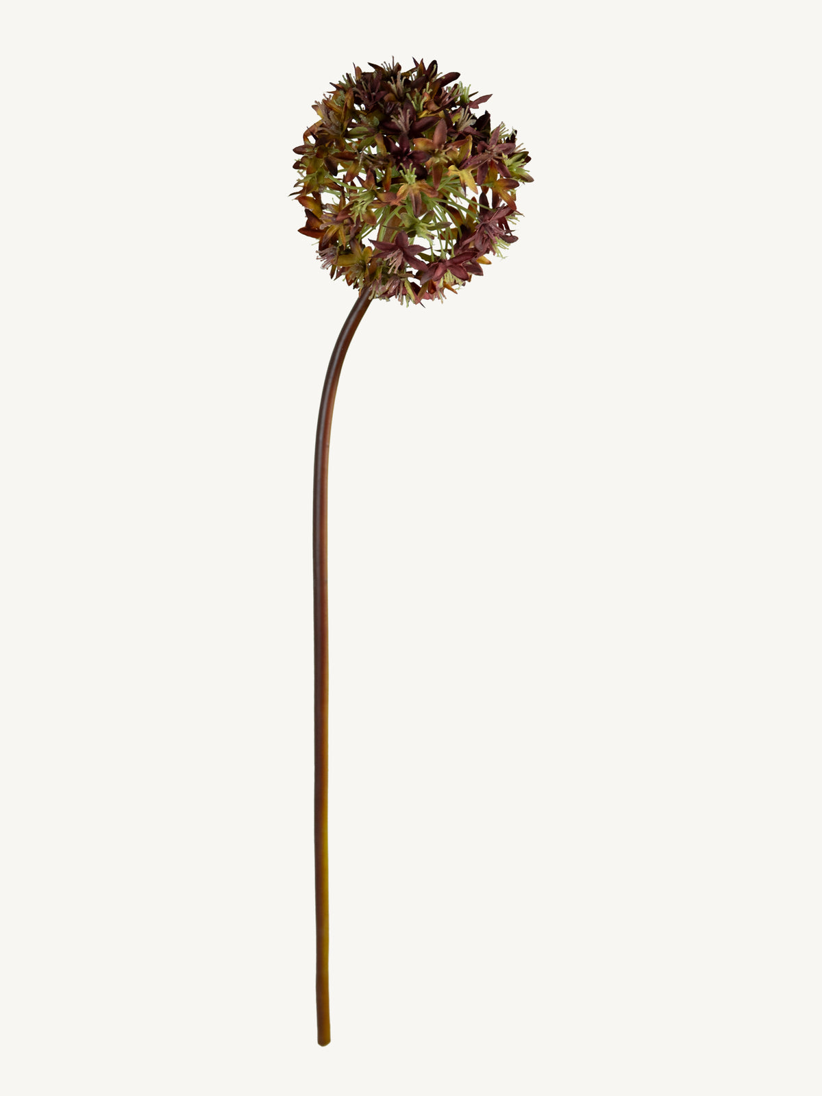Flower VIBURNUMN 60cm brown