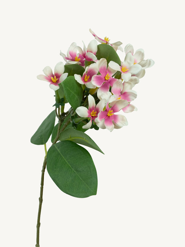 Flower BANANA SHRUB 37cm light pink