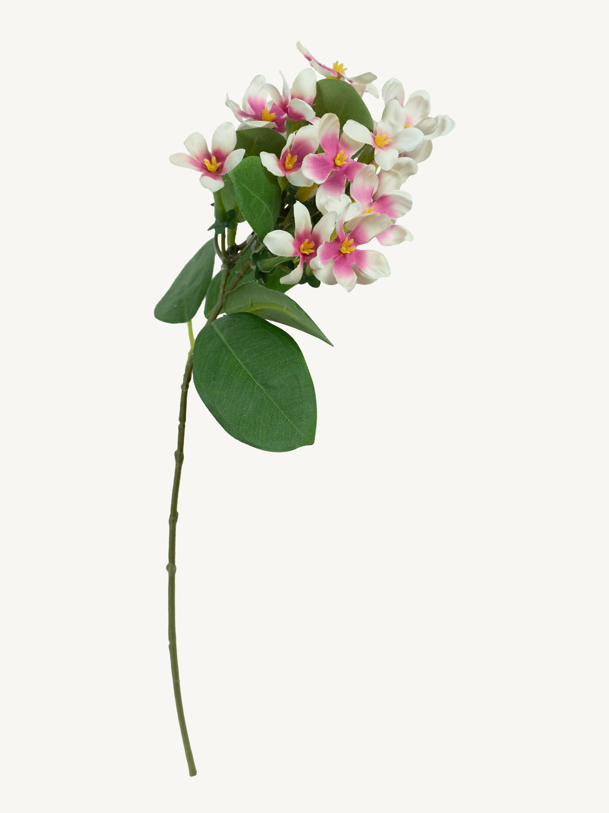 Blume BANANENSTRAUCH 37cm hellrosa